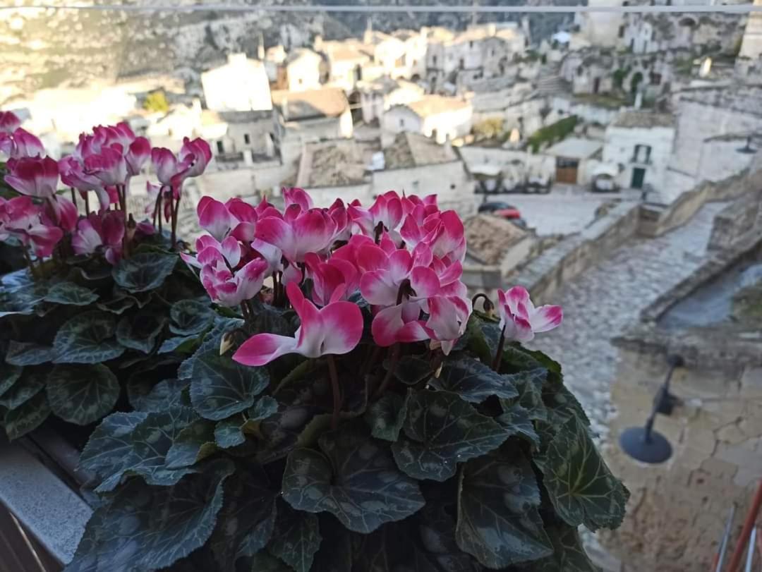Slow Living B&B Matera Exterior foto